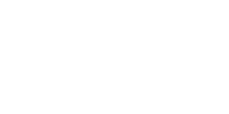 LOGO LindIA_Blanc LindIA votre visibilité automatisée
